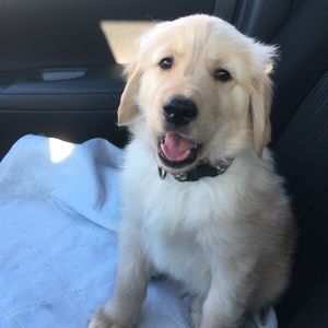 Meet your Posher, Cathy